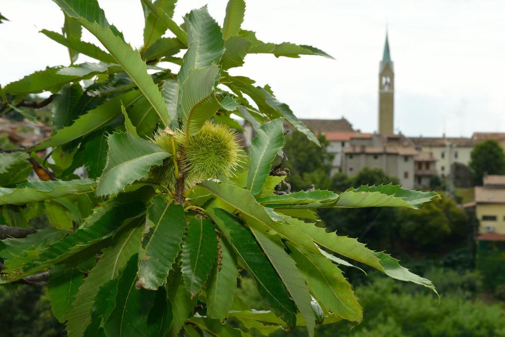 Agriturismo Crodi Miane Kültér fotó